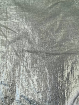 20D*20D 100%N 40GSM Nylon fabric