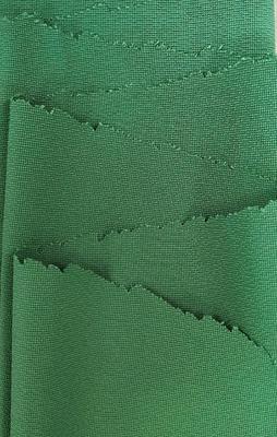 75D+75D*75D+75D 100%P 119±3GSM High Elastic Fabric