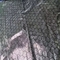 Hoja de plata caliente sólida de la tela 290t del tafetán del poliéster 65GSM
