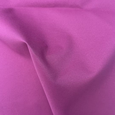 30D+20D*30D+20D 137*101 173GSM 4-way spandex