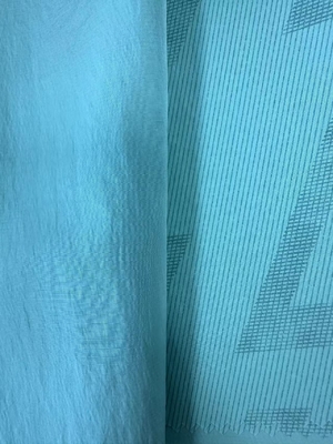 103GSM 100%N 40D*70D Nylon fabric
