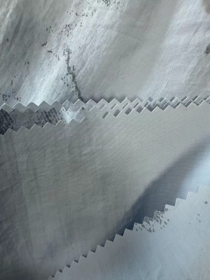 122GSM 100%N 70D*160D Nylon fabric