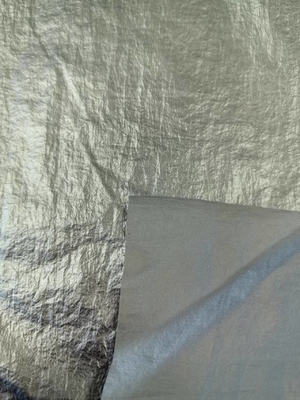 20D*20D 100%N 40GSM Nylon fabric