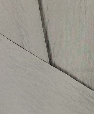 50D*(20D*2)  100%N  78±3GSM  Nylon Fabric