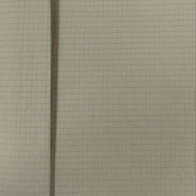 40D*40D+100D 100%N  122±3GSM  Nylon Fabric